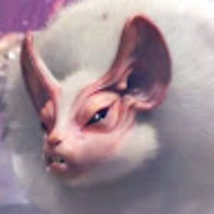 Meet your Posher, Lillie